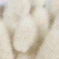 Белый мускус